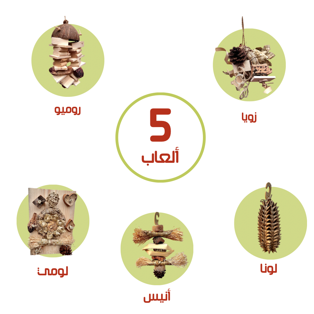 حُزمة ملك أفريقيا