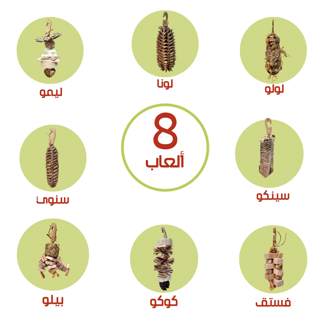 حزمة (البراعم)