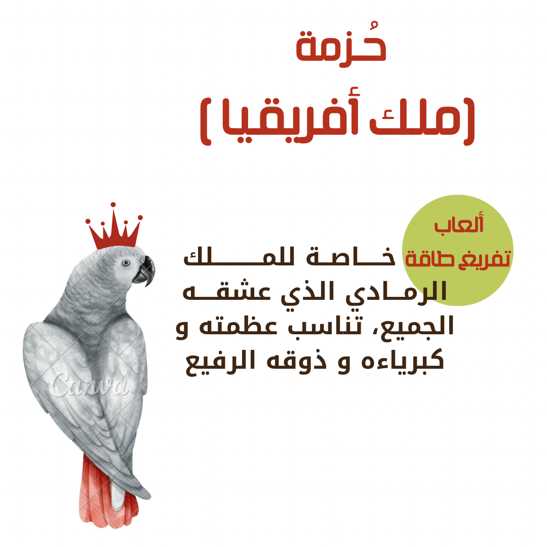 حُزمة ملك أفريقيا