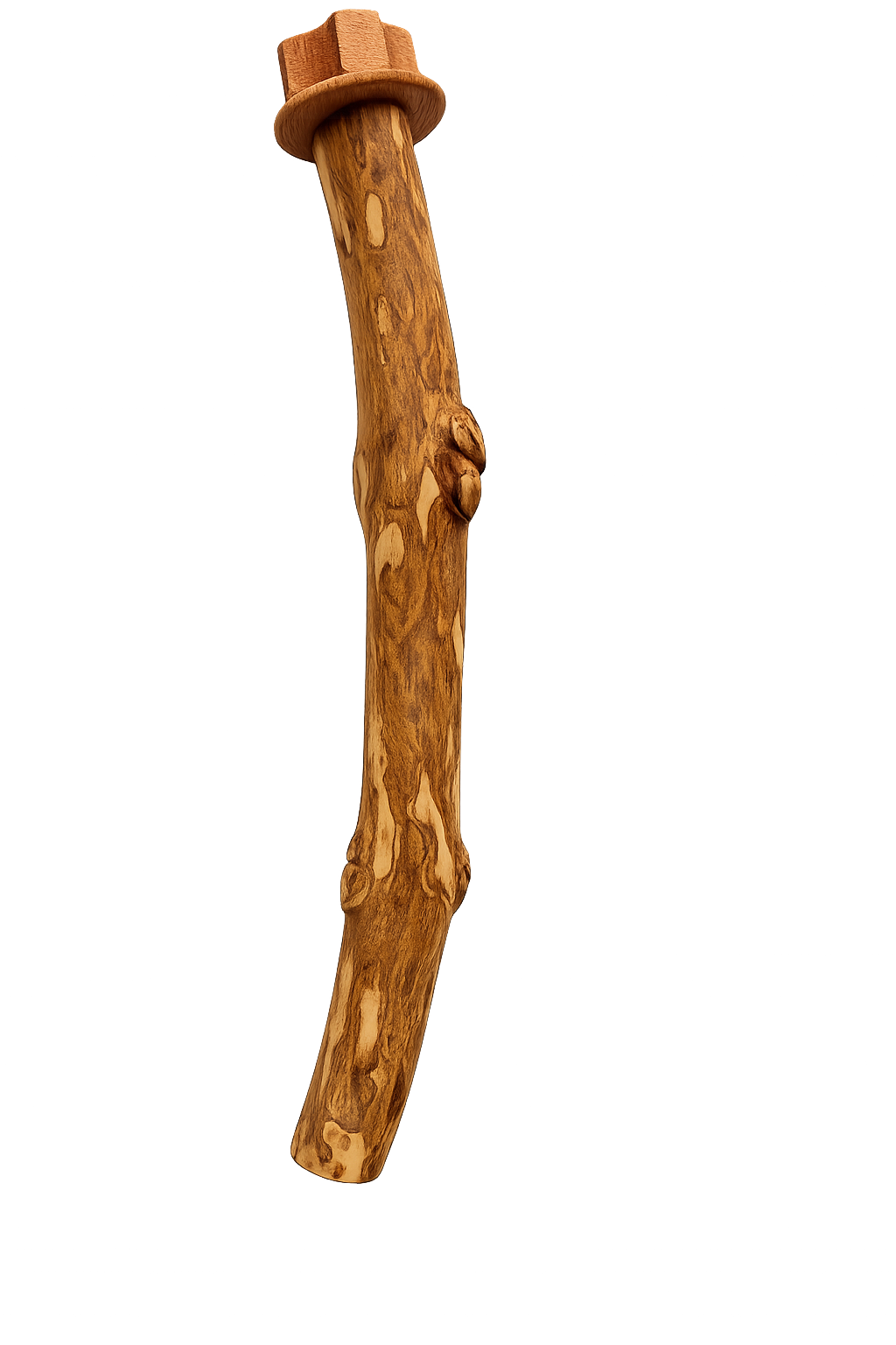 مجثم نقار الخشب للطيور الكبيرة