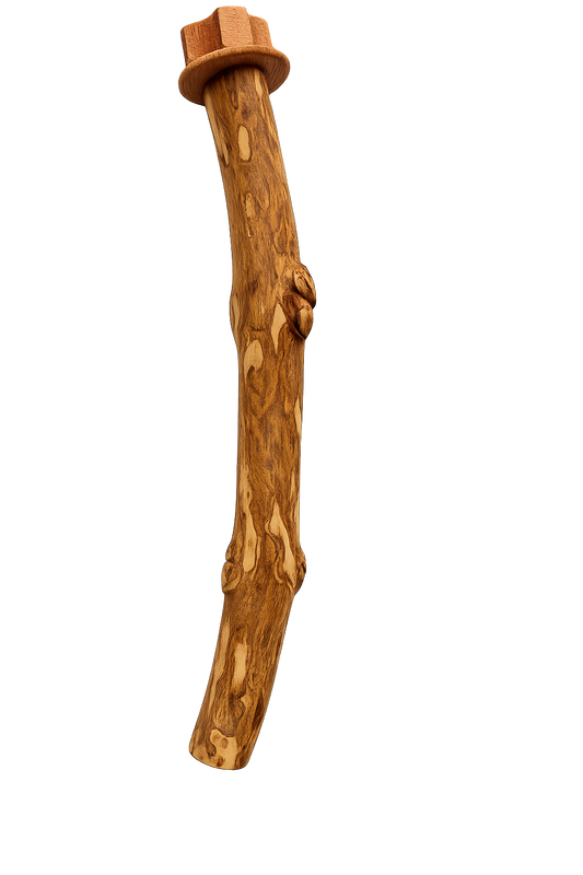 مجثم نقار الخشب للطيور الكبيرة